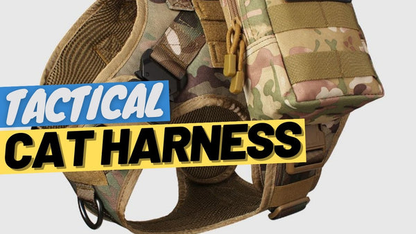 The Hidden Truth Behind Tactical Cat Harnesses