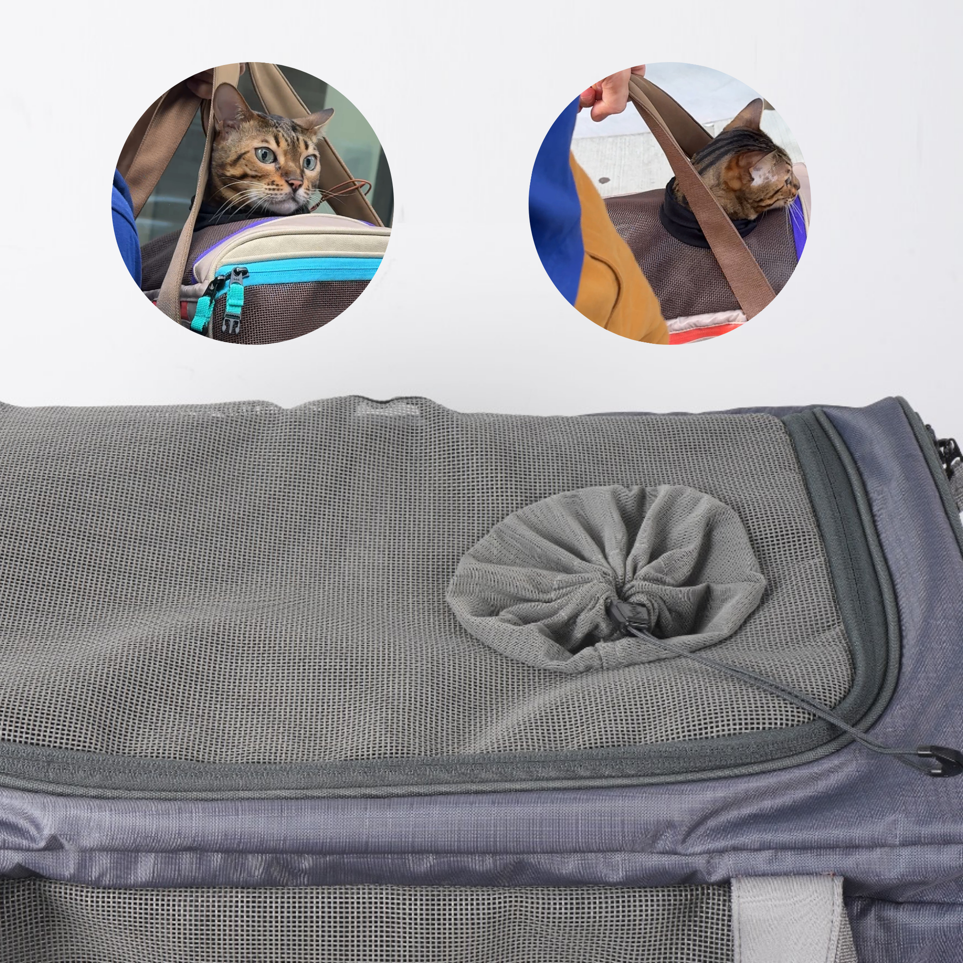 Zeppelin™ Airline-Approved Cat Carrier