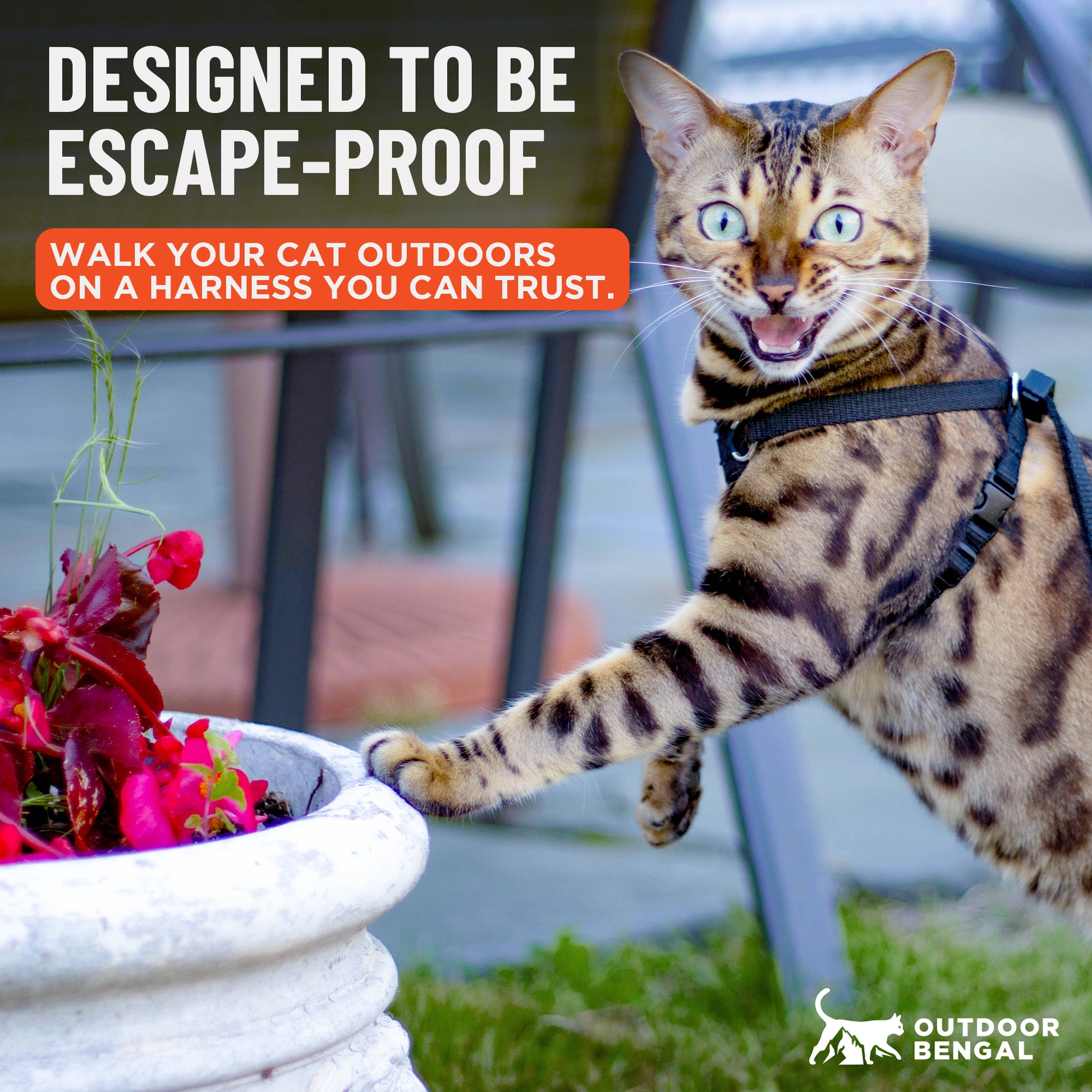 Houdini™ Escape Proof Cat Harness