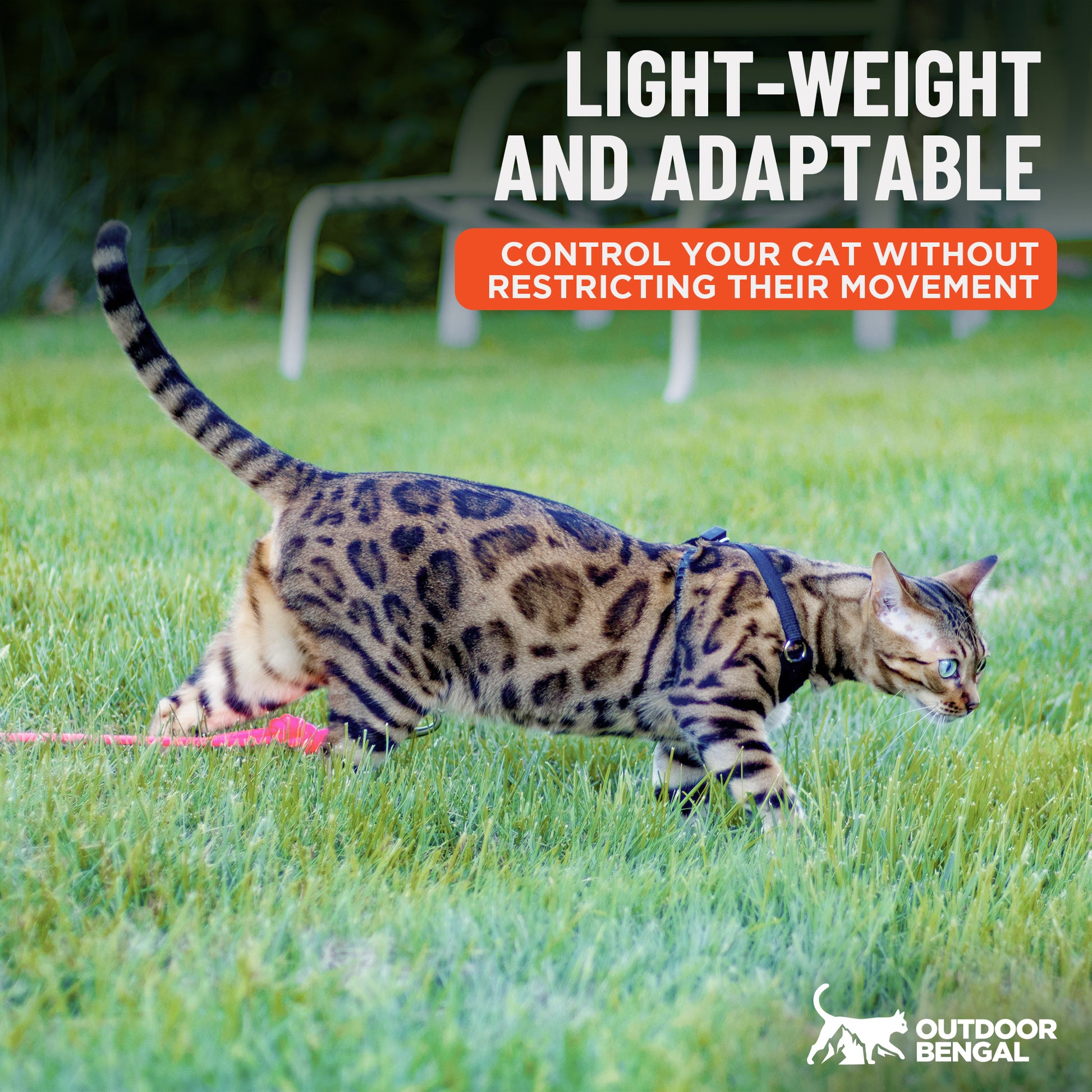 Houdini™ Escape Proof Cat Harness