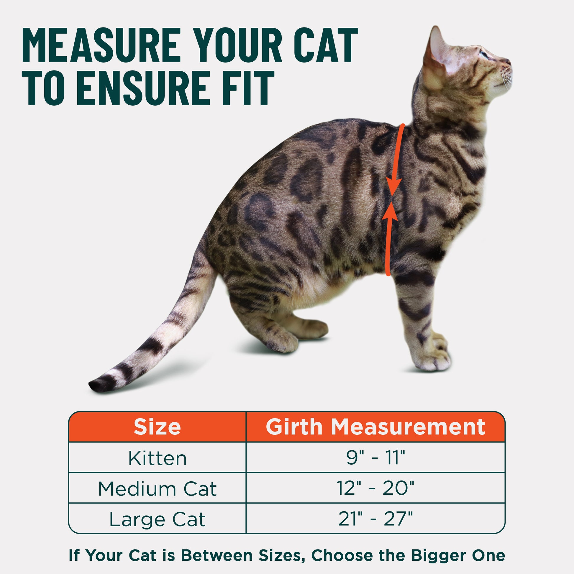Houdini™ Escape Proof Cat Harness