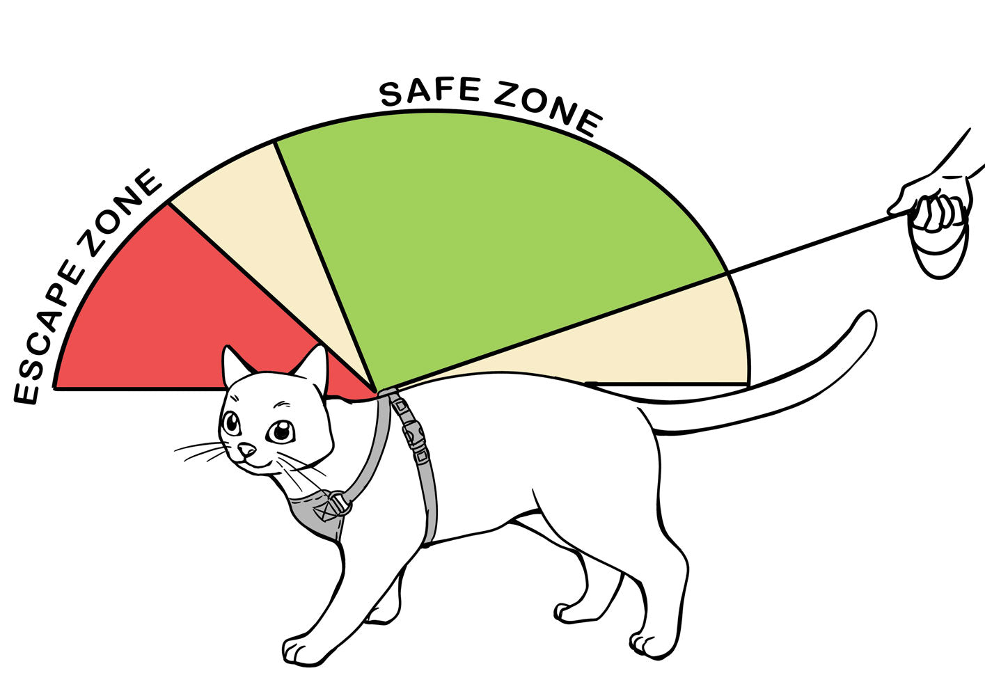 No Escape Harness Diagram on how to handle the leash when walking cats