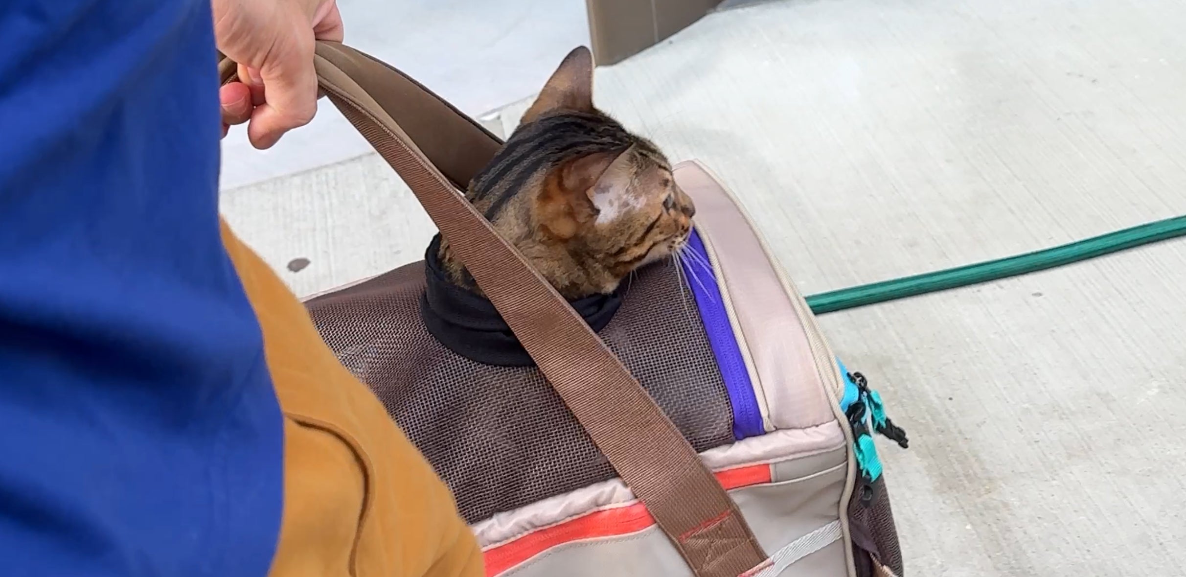 Cat in a pet carrier with a person adjusting a strap on a light-colored floor.