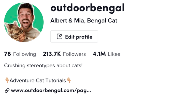 10 Famous TikTok Cat Influencers & their Viral Cat Videos