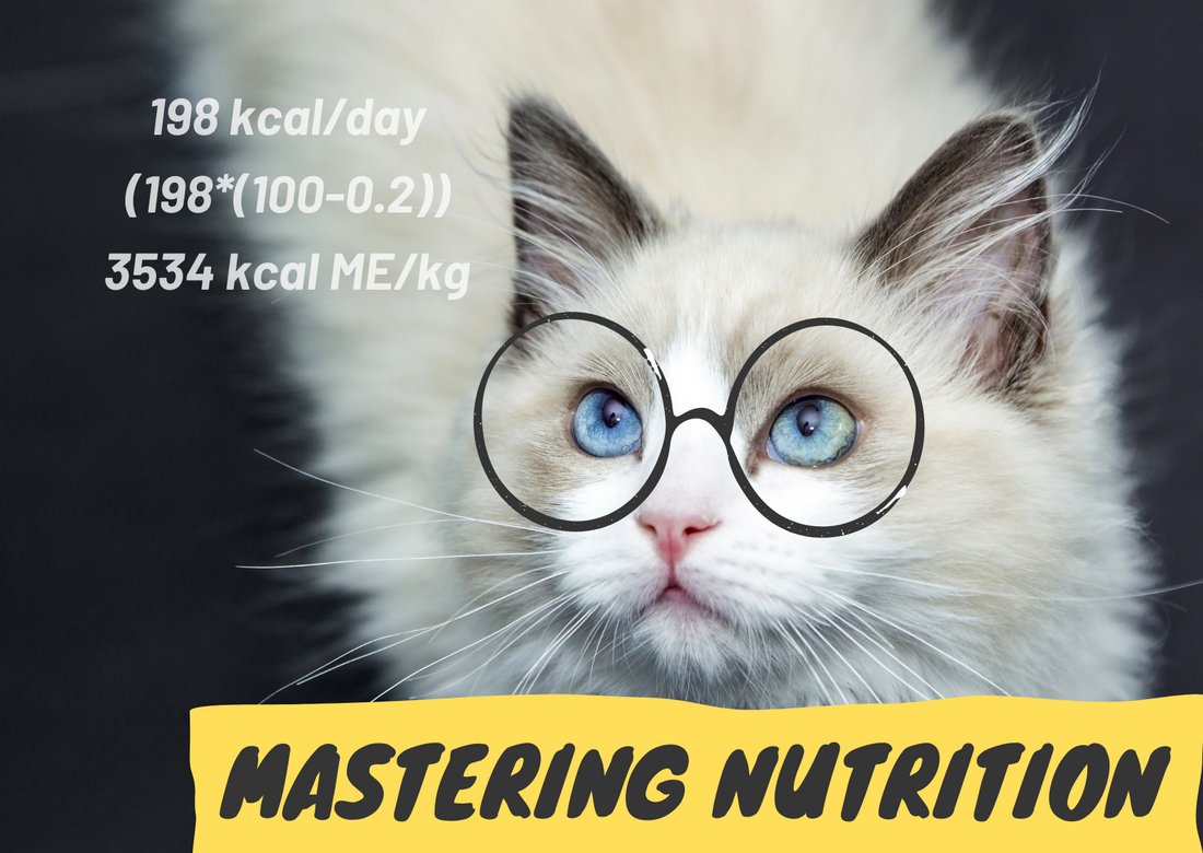 Mastering Feline Nutrition: A Veterinarian's Guide to Calculating Your Cat's Daily Food Amount