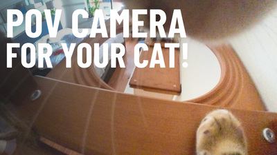 Why Every Cat Owner is OBSESSED With This Tiny Camera!
