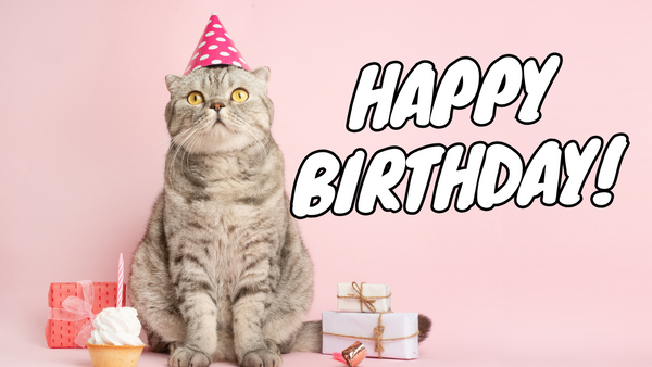 The Ultimate Guide to Throwing a Purr-fect Cat Birthday Party