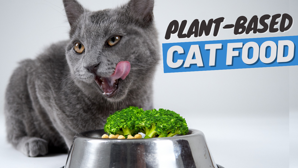 Plant based 2025 cat food