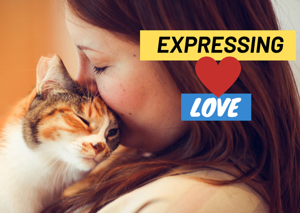 Expressing Love to Your Cat: Essential Tips for Cat Owners