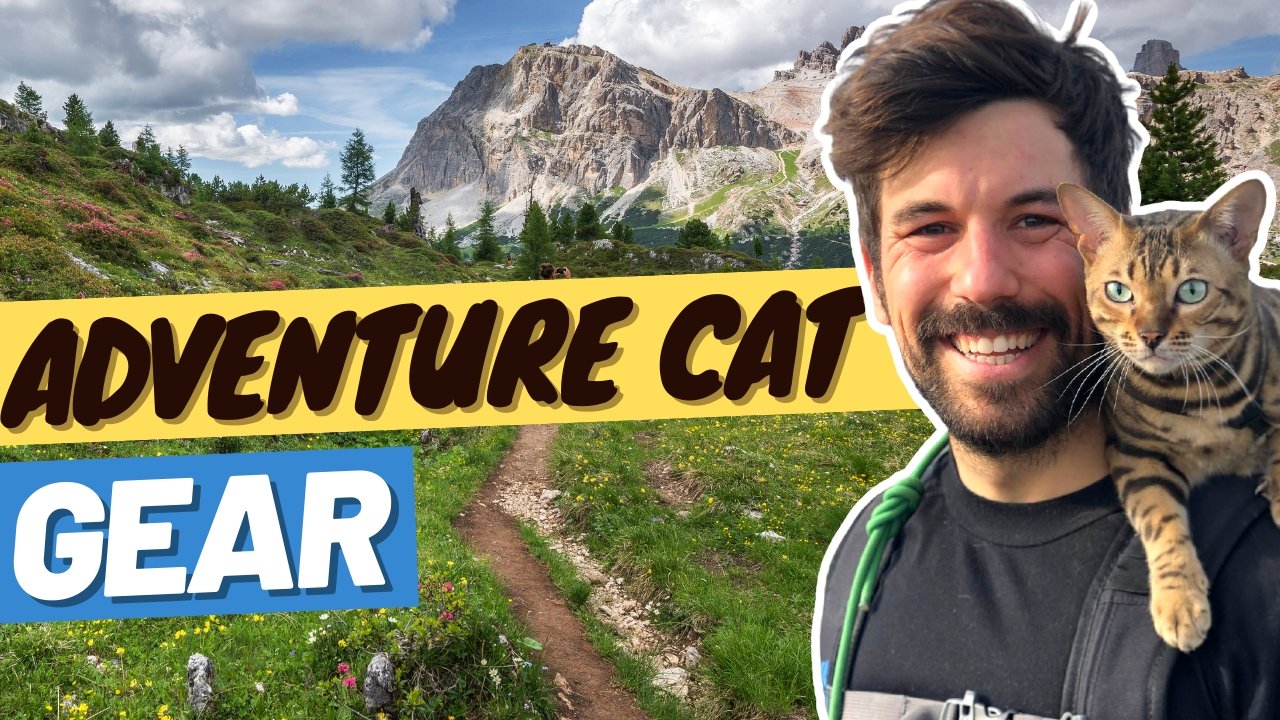 Adventure Cat Gear - Essentials to Walk a Cat - OutdoorBengal