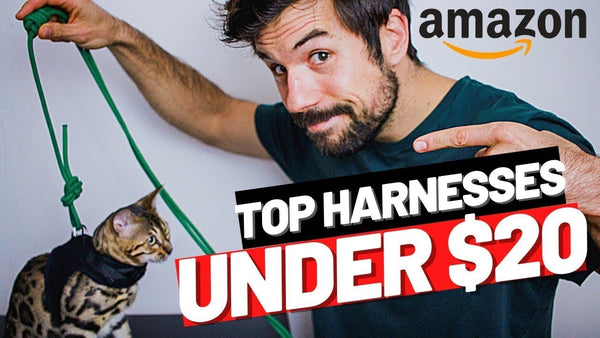 Best Cat Harnesses Under $30 To Buy in 2023
