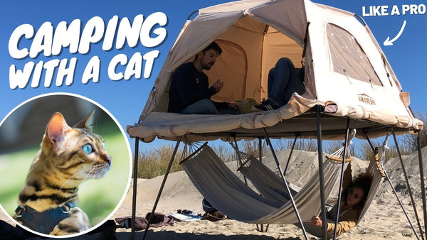 Camping with Cats - Training, Gear and Tips to Camp with a Cat