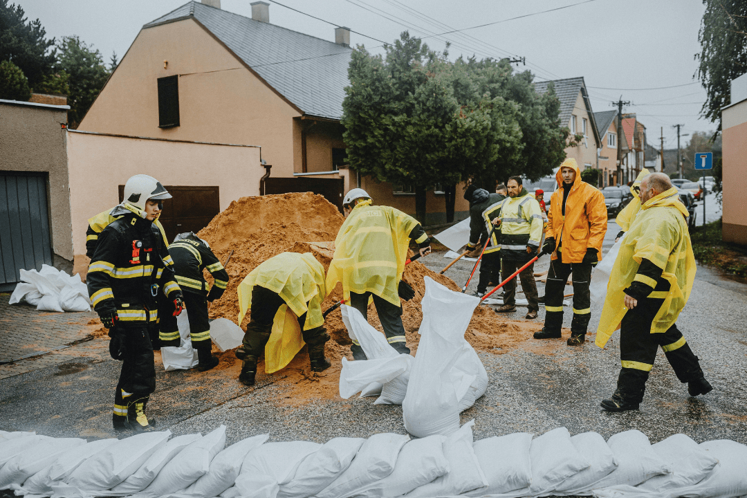 Emergency Evacuation Kit for Pets (Go Bag) - OutdoorBengal