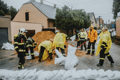 Emergency Evacuation Kit for Pets (Go Bag) - OutdoorBengal