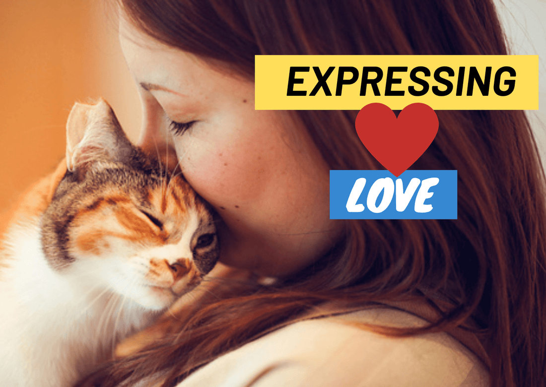 Expressing Love to Your Cat: Essential Tips for Cat Owners - OutdoorBengal