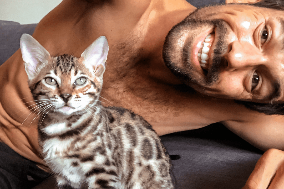 Gaining ANY Cat's Trust - OutdoorBengal