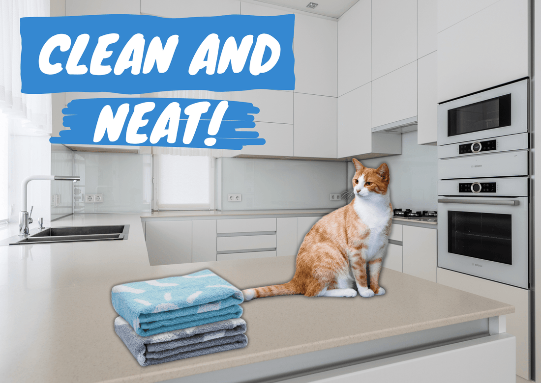 How to Clean and Maintain Your Cat's Harness: A Complete Guide - OutdoorBengal