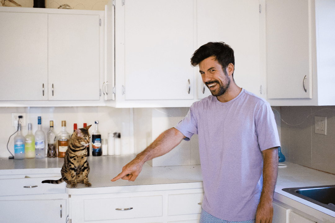 How to Discipline a Cat - 7 Proven Methods - OutdoorBengal