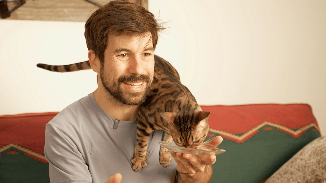 How to Train a Cat: The Complete Cat Training Guide for Beginners - OutdoorBengal