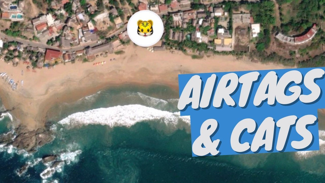 I Lost my Cat... Found her Thanks to an Apple AirTag - Here's How! - OutdoorBengal