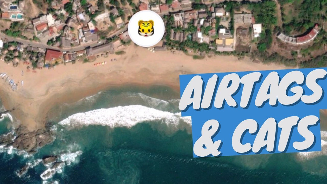 I Lost my Cat... Found her Thanks to an Apple AirTag - Here's How! - OutdoorBengal