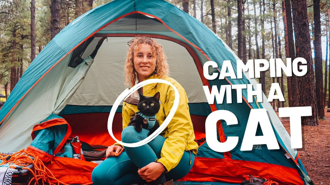 Lindsey Took her Cat Aries Camping - Tips to Camp with Cats - OutdoorBengal