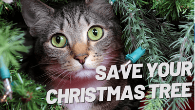 Saving the Christmas Tree from Your Cat: Tips and Tricks - OutdoorBengal