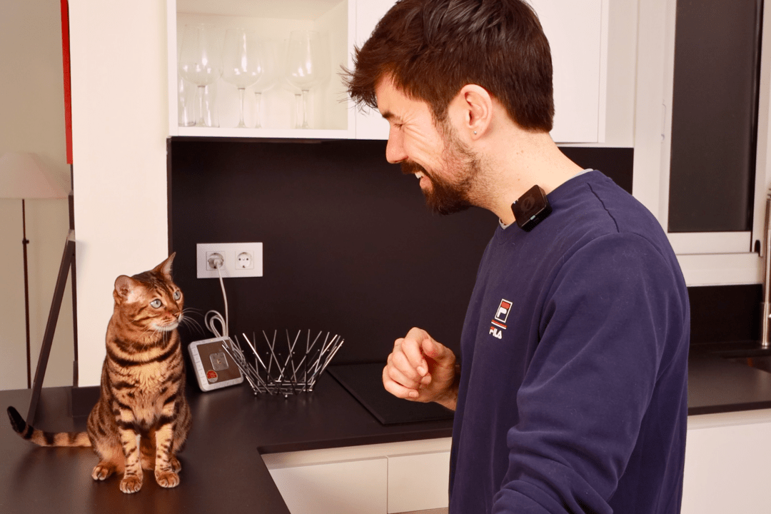 Start Clicker Training Your Cat - What to Teach and When to Start - OutdoorBengal