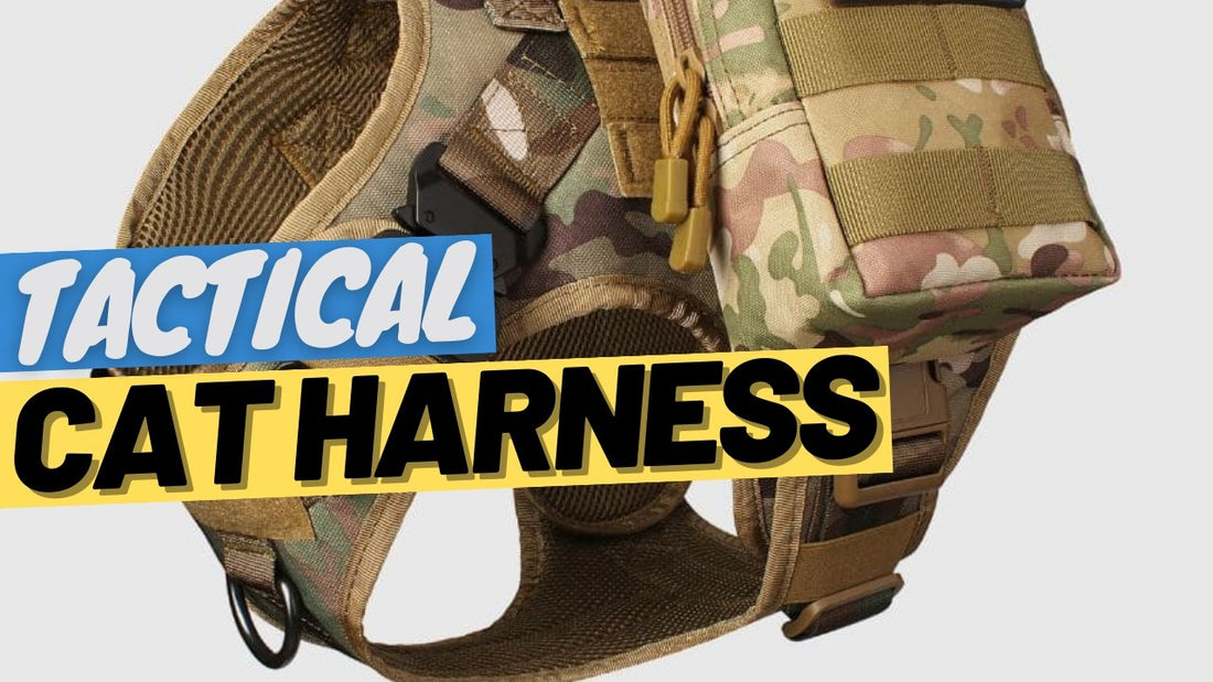 Tactical, not practical: The Truth about Tactical Cat Harnesses - OutdoorBengal
