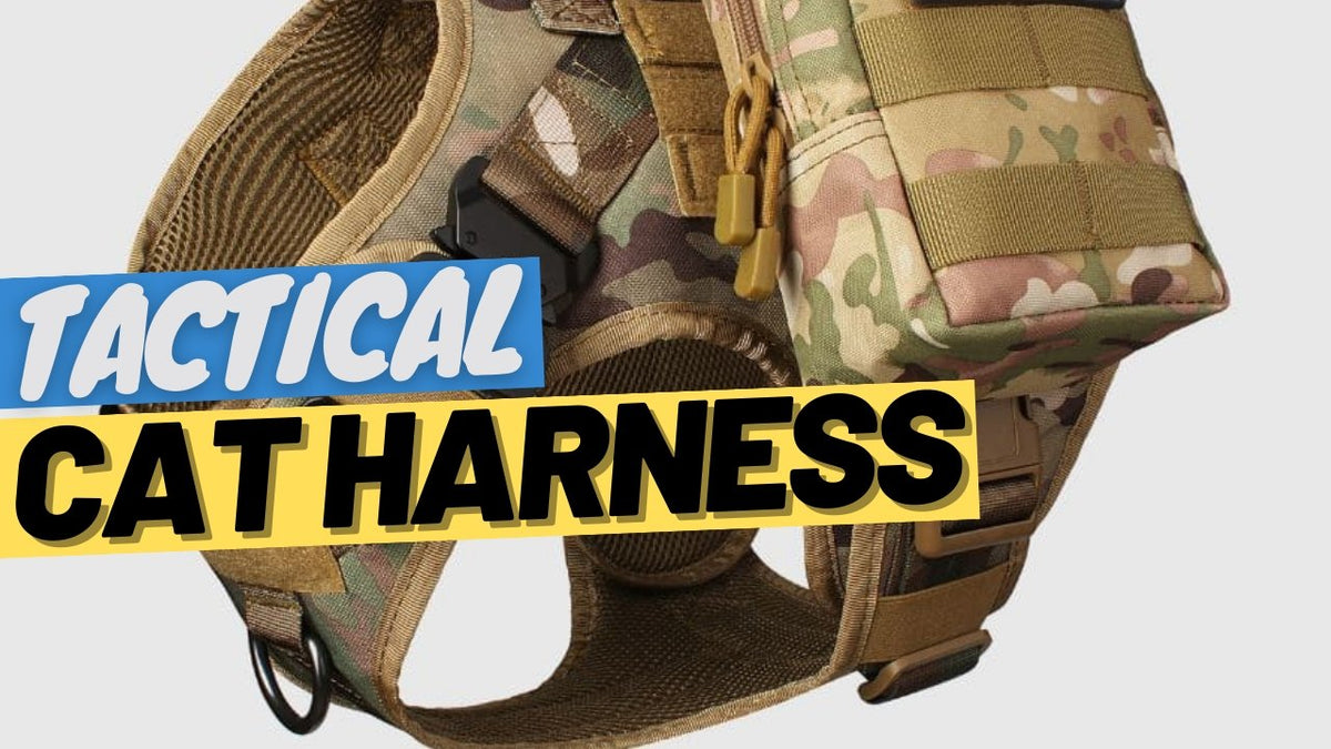 Tactical, not practical: The Truth about Tactical Cat Harnesses - OutdoorBengal