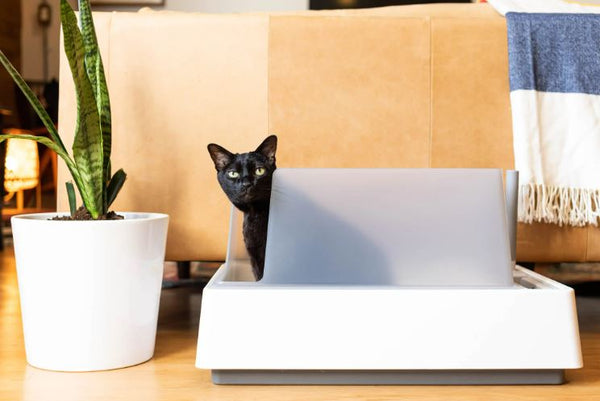 The Best Cat Litterbox - Easy to Clean & Easy to Look at