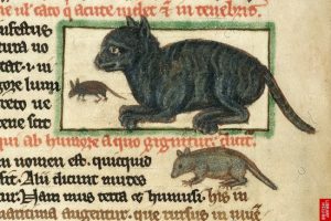 The Historic Reason So Many People Hate Cats - Haters Got Played!