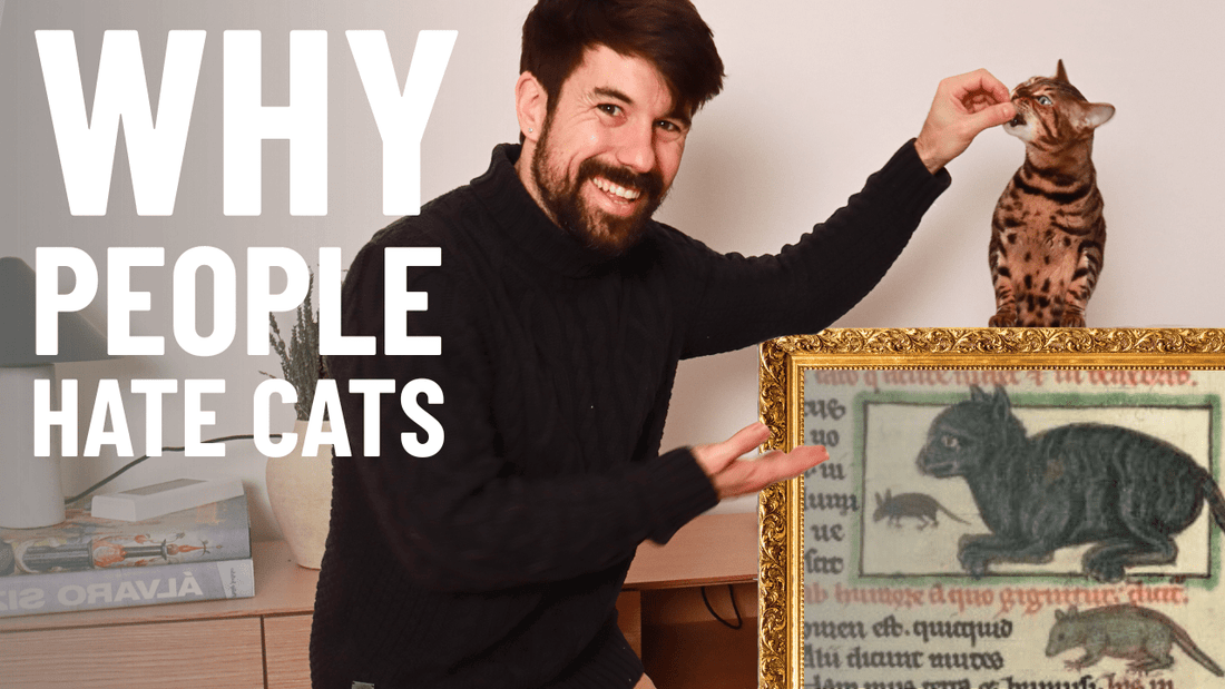 The Historic Reason So Many People Hate Cats - Haters Got Played! - OutdoorBengal