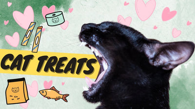 The Jackpot Cat Treat - Best Cat Treats for Training and Bonding - OutdoorBengal