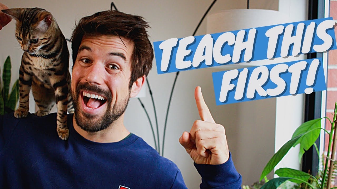 This is the 1st Clicker Training Trick you want to Teach Your Cat - OutdoorBengal