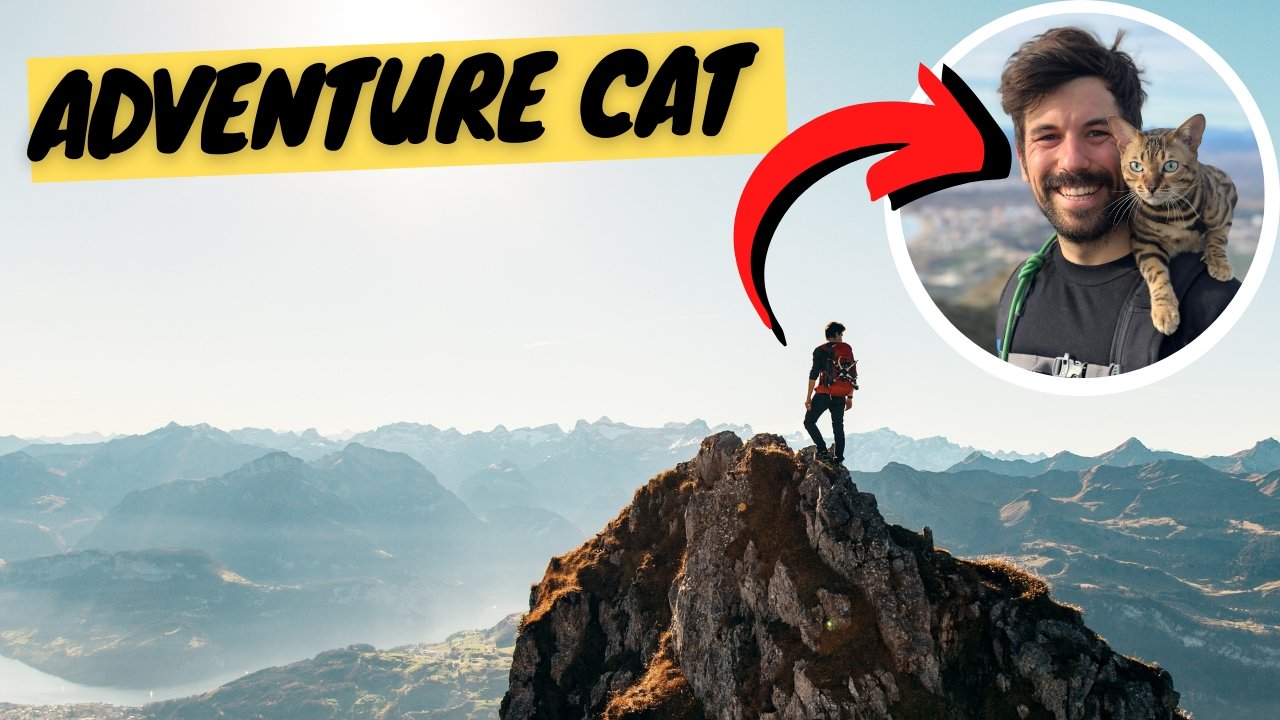 What is an Adventure Cat | Cat Training Guide - OutdoorBengal