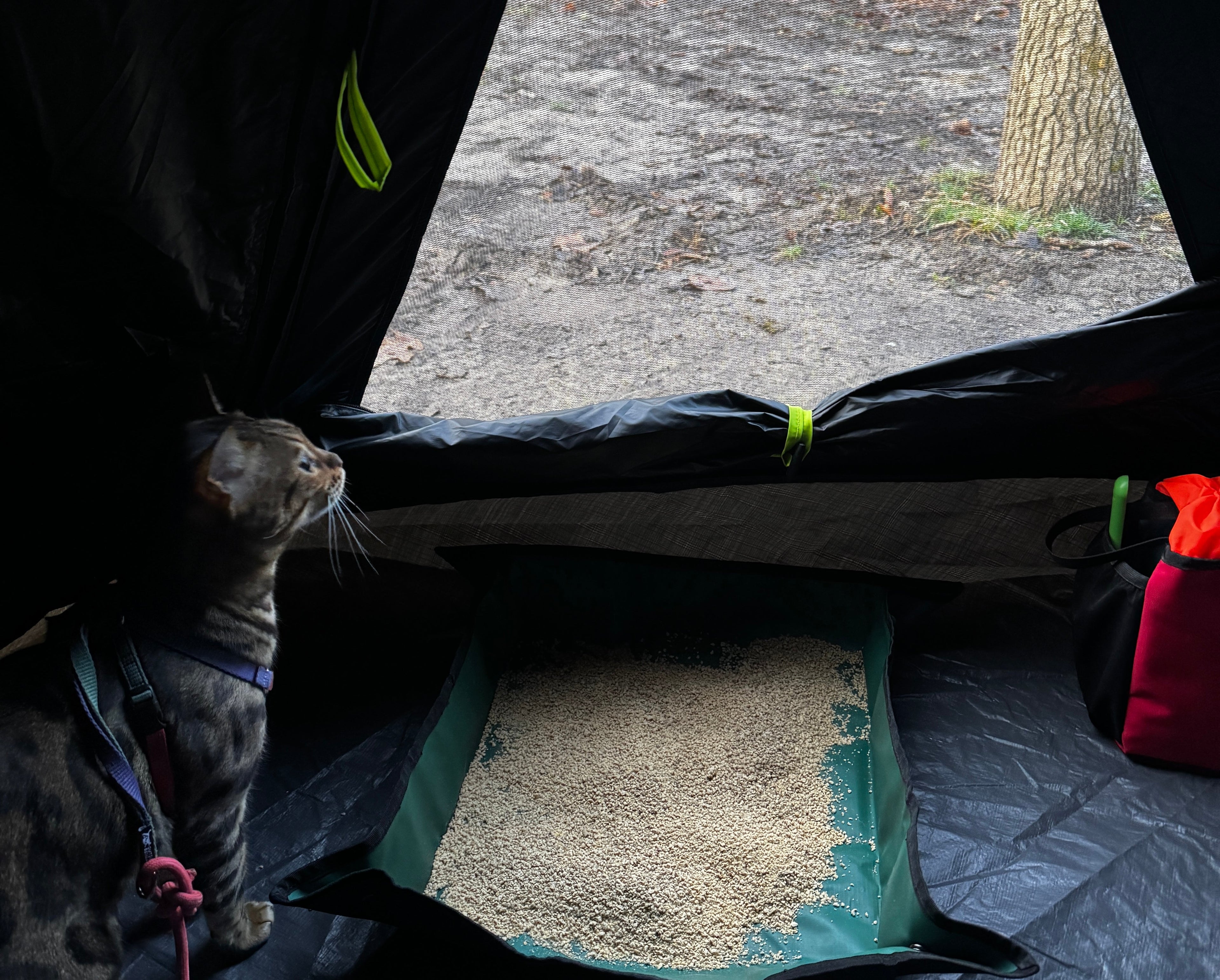 Portable Litterboxes - OutdoorBengal