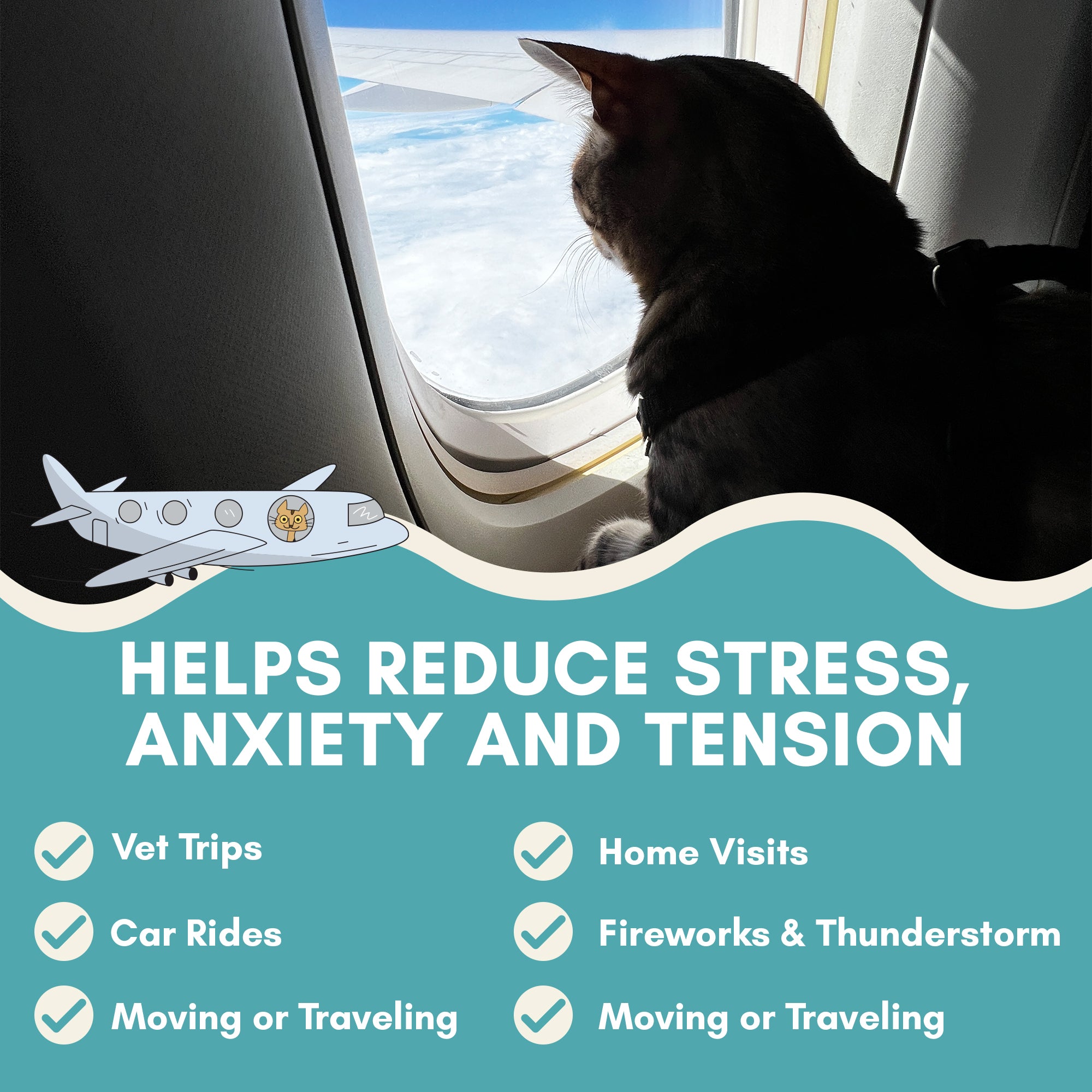 Cat looking out airplane window with text about stress reduction and various situations.