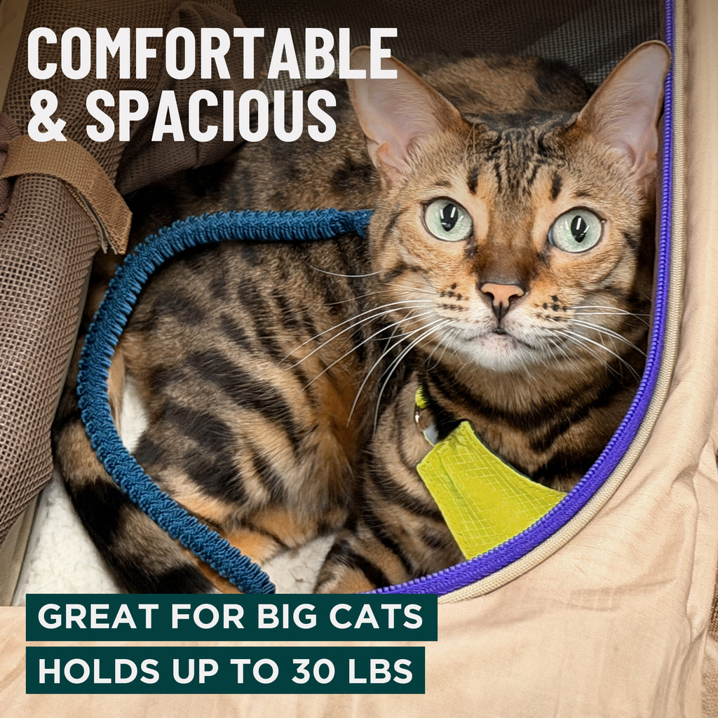 Zeppelin Cat Carrier + Go Litter Box Kit