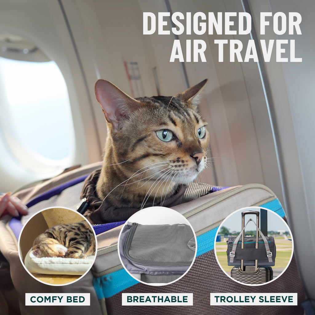 Zeppelin Cat Carrier + Go Litter Box Kit