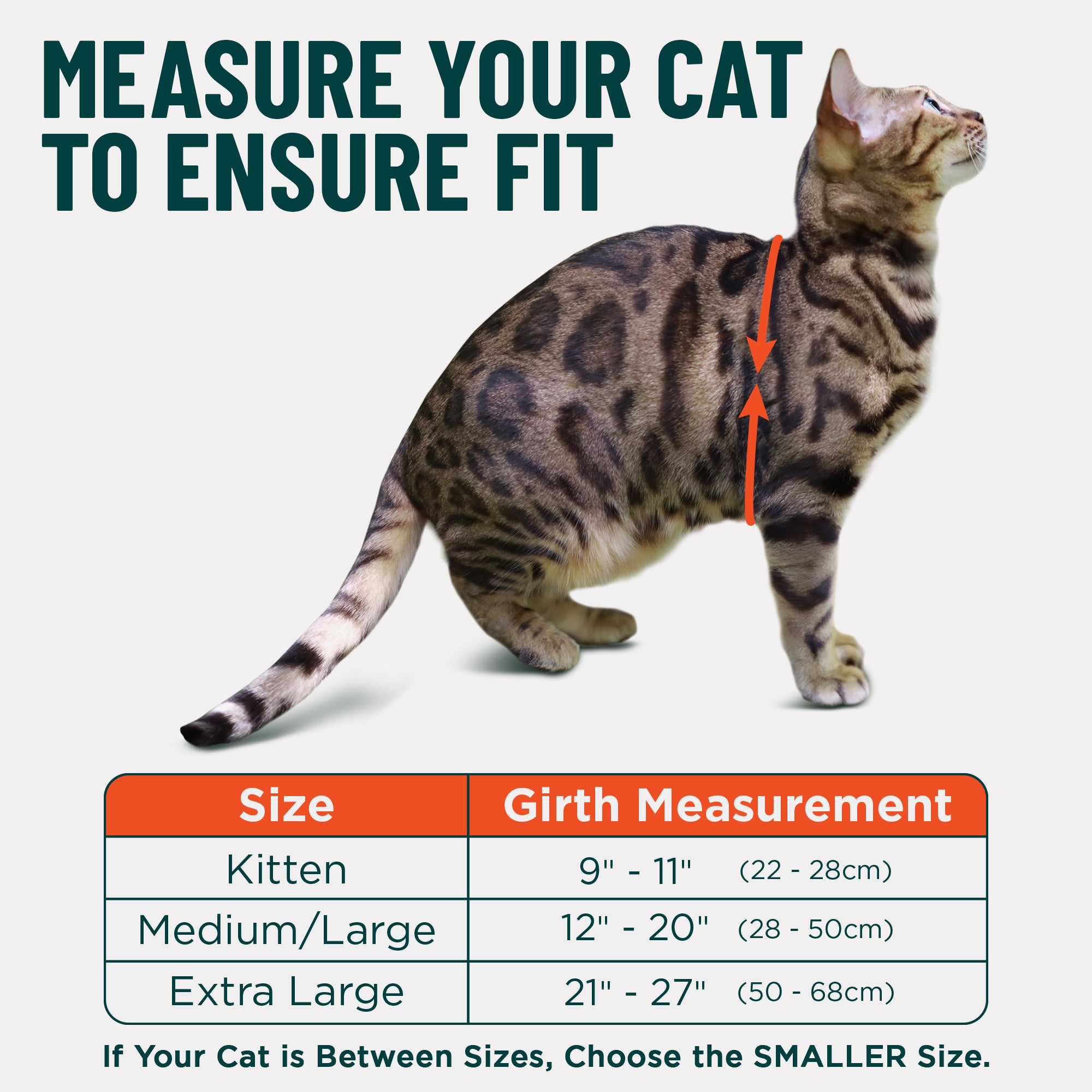 Houdini™ Escape-Proof Cat Harness