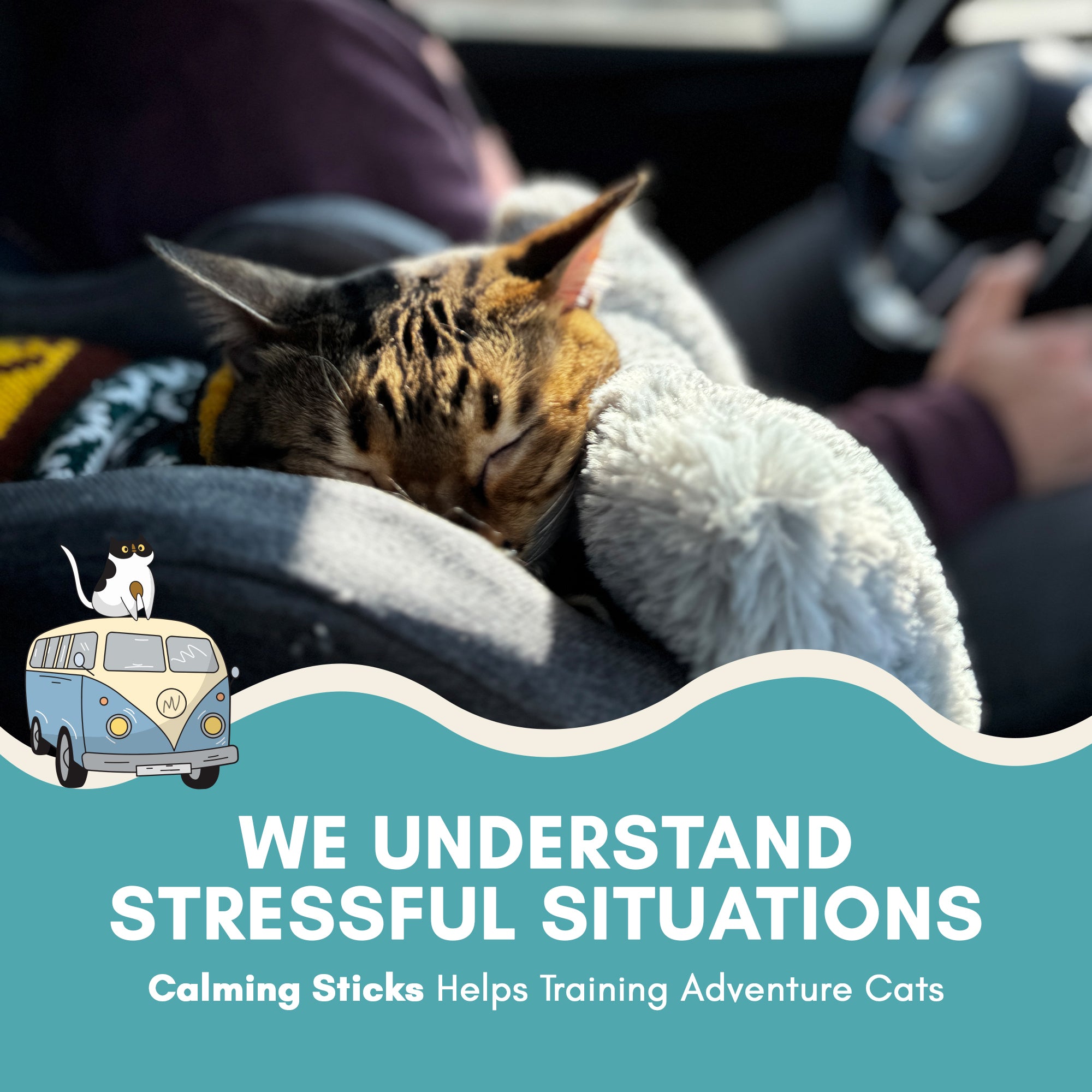 Cat resting on a person's lap with text about calming sticks for cats.
