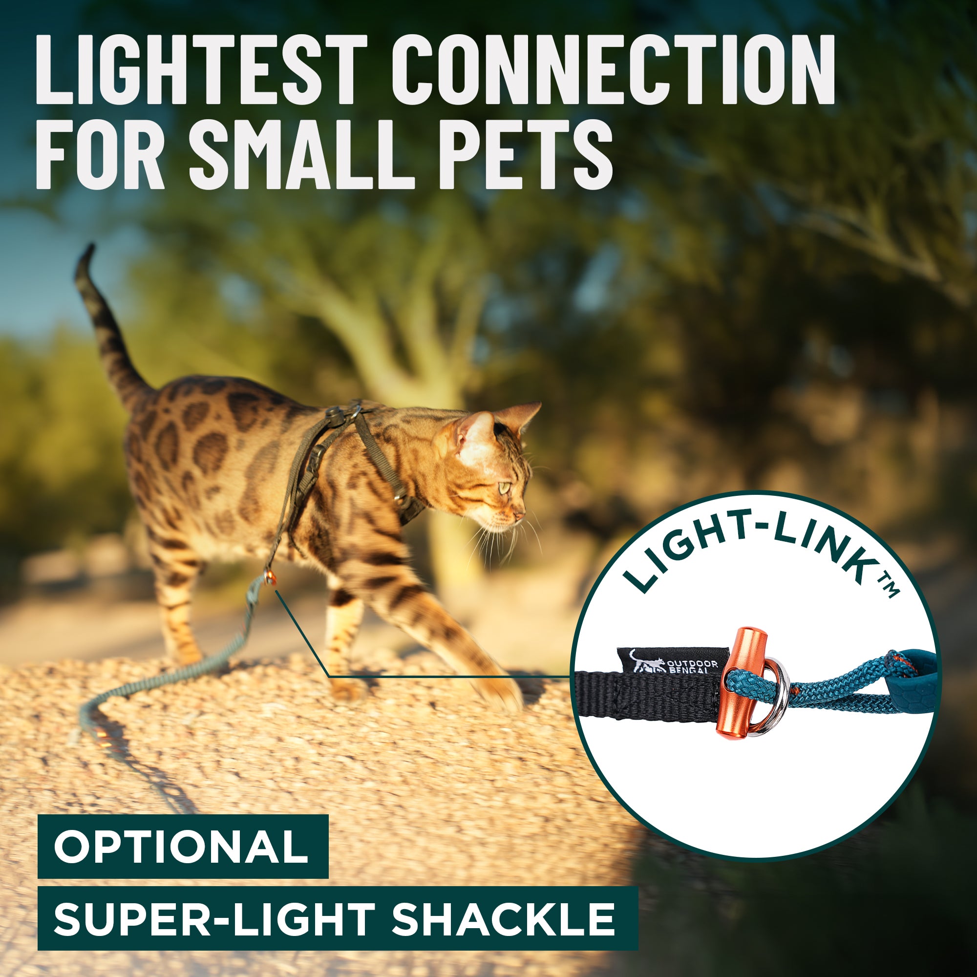 Kushma™ Bungee Cat Leash 14ft