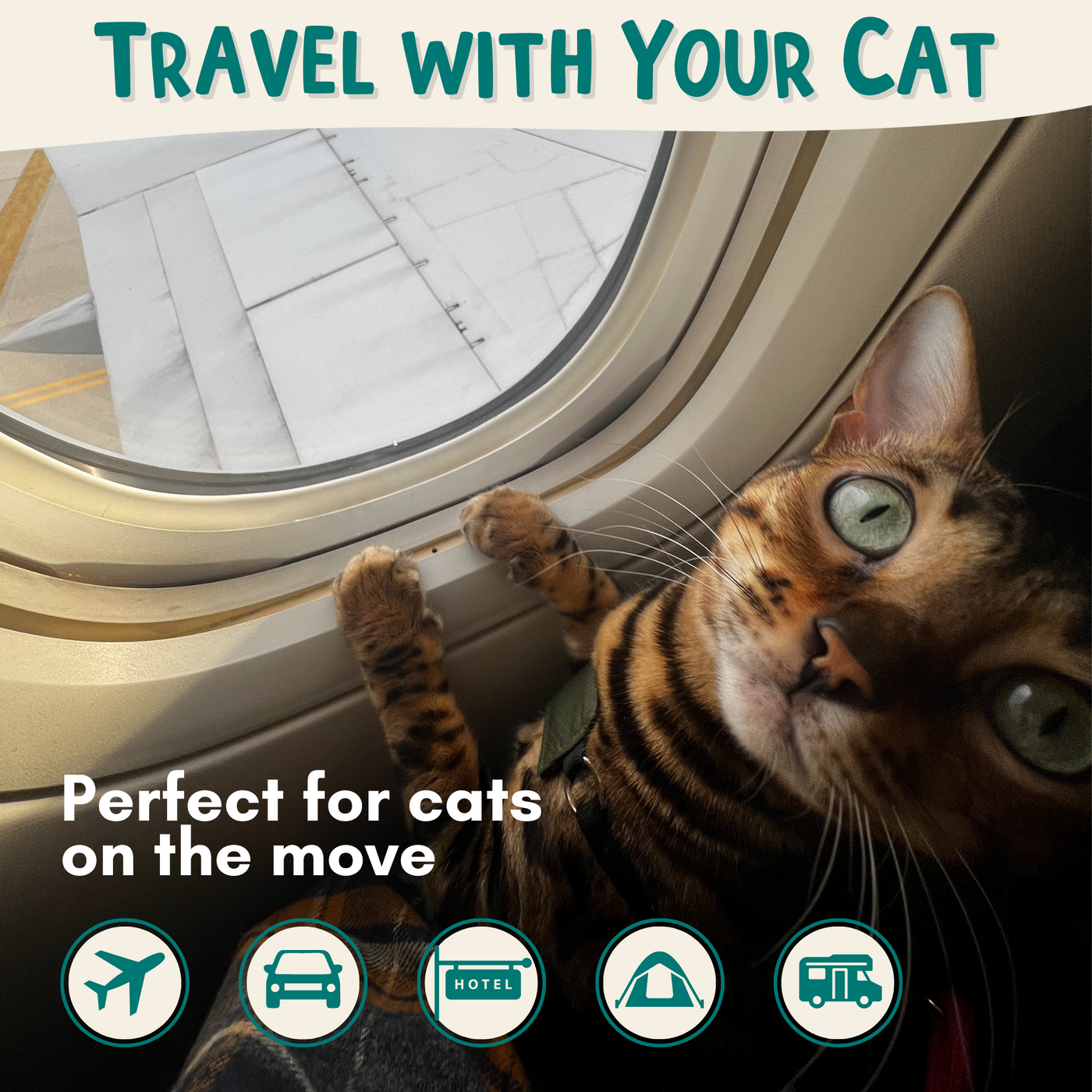 Portable Litterbox for Cat Travel, Foldable