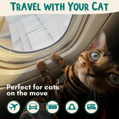 Portable Litterbox for Cat Travel, Foldable