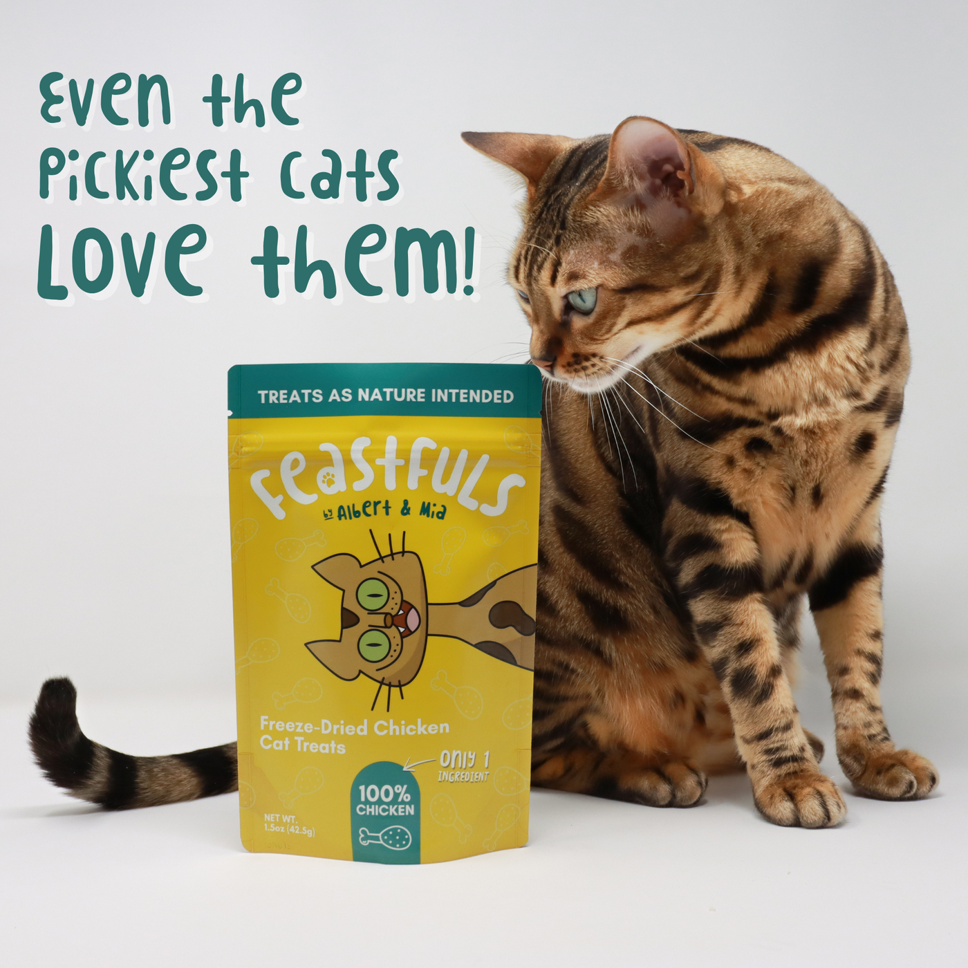 Best treats for picky cats