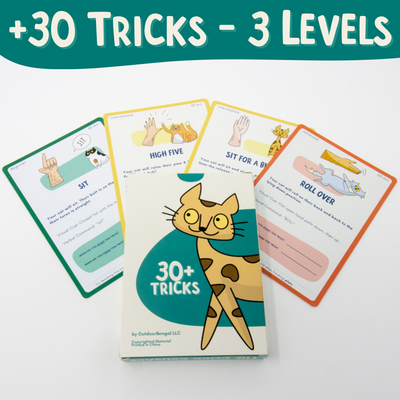 The Click Crusade - Cat Training Card Game