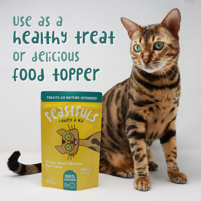 Chicken Cat Treat and Food Topper
