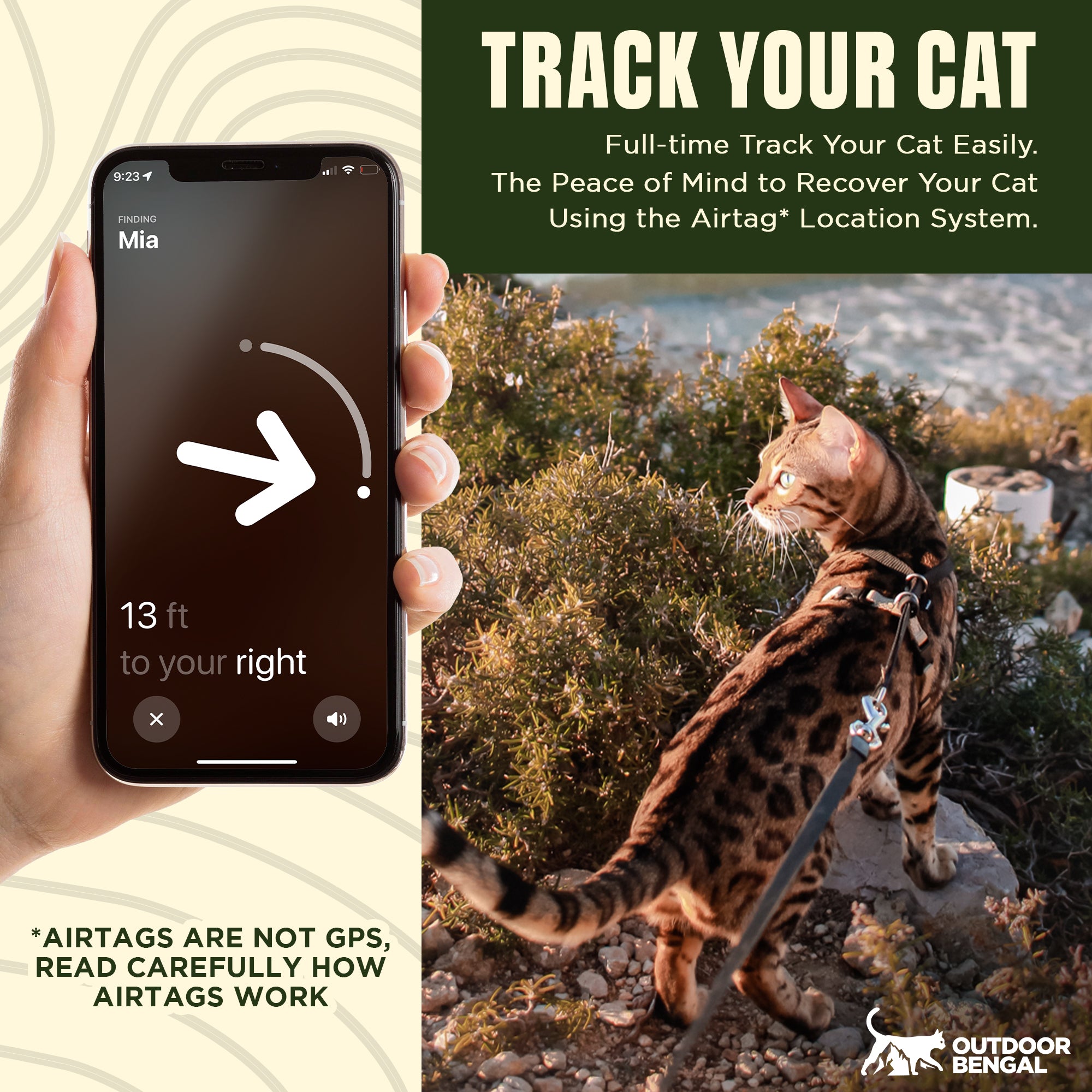 Smartphone tracking a cat with an Airtag and a cat outdoors with a leash.