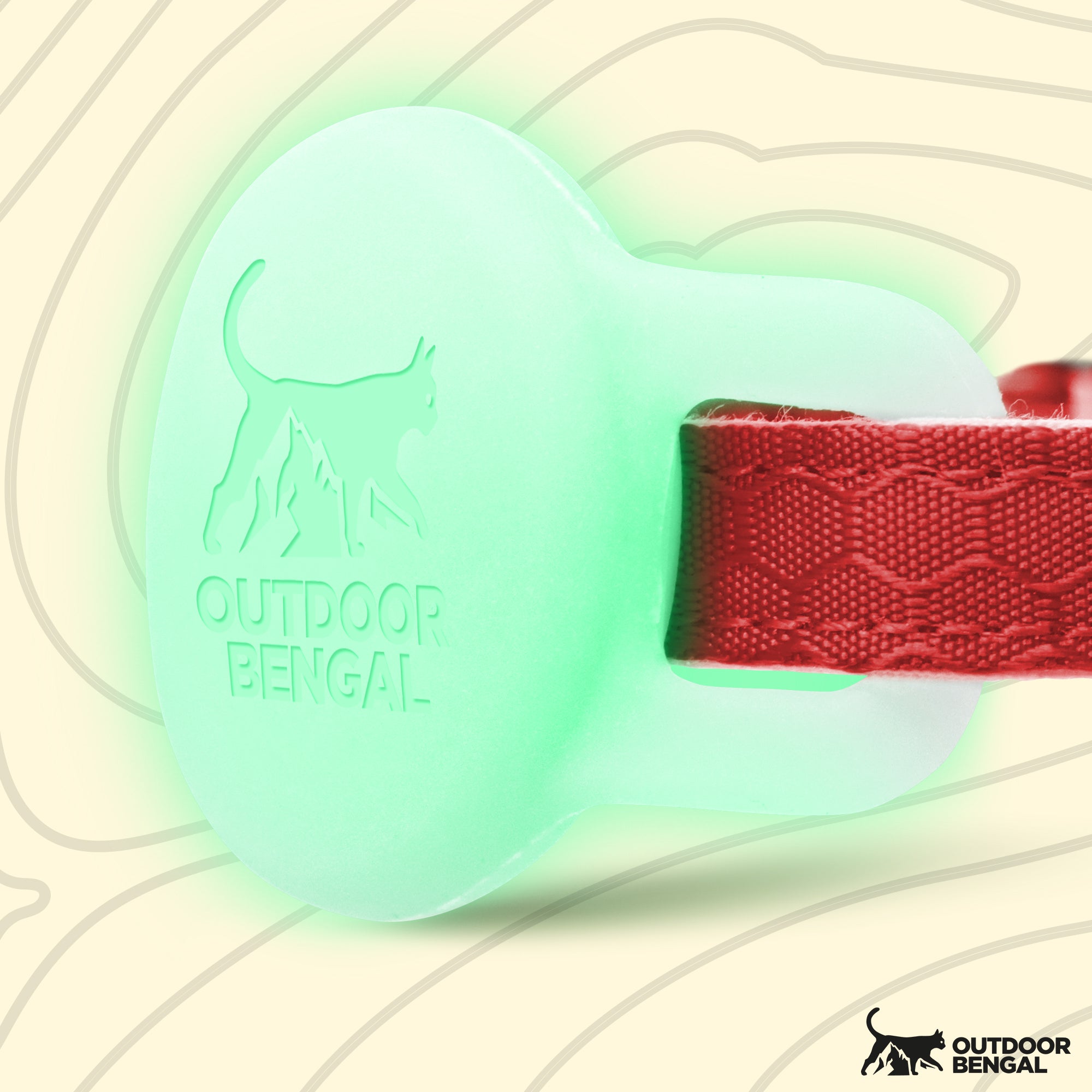 Green cat airtag holder on a red cat collar